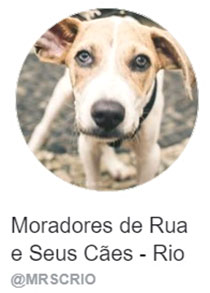 Moradores de Rua e Seus Câes - Rio - MRSCRIO
