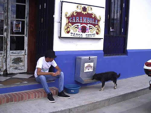 Restaurante colombiano disponibiliza comedouro para cães de rua.