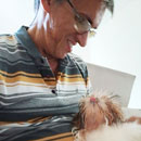 Love Dogs Adestramento Rio