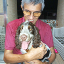 Love Dogs Adestramento Rio