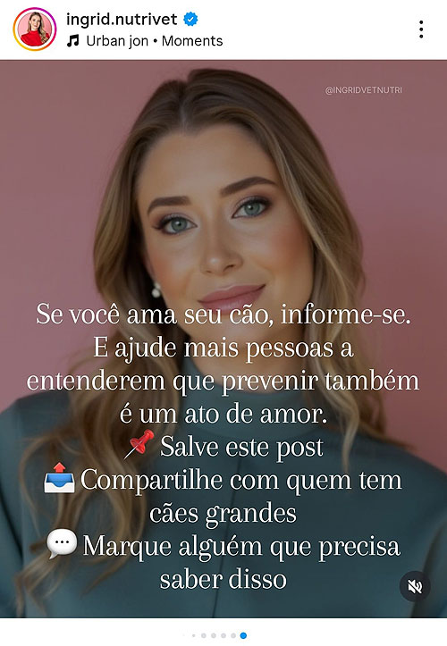 Os riscos da Torção Gástrica em cães.