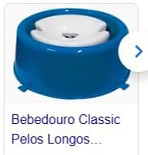 Os riscos da Torção Gástrica em cães.