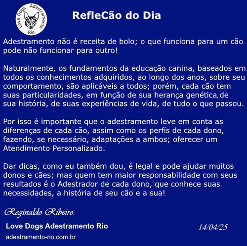 RefleCão do Dia