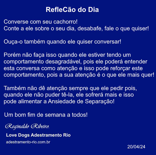 RefleCão do Dia