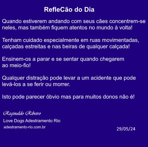 RefleCão do Dia