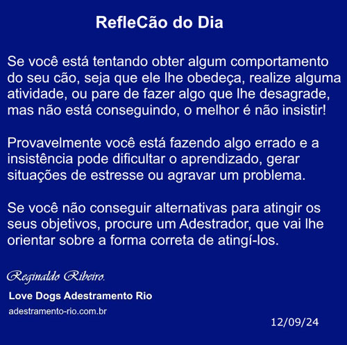 RefleCão do Dia