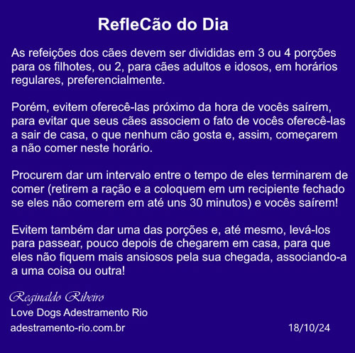 RefleCão do Dia