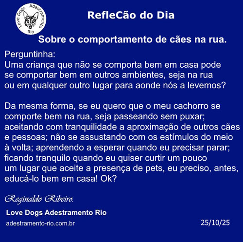 RefleCão do Dia